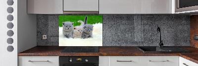 Panel de pared de cocina Tres gatos sobre una manta