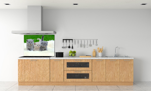 Panel de pared de cocina Tres gatos sobre una manta