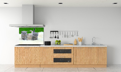 Panel de pared de cocina Tres gatos sobre una manta