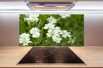 Panel para cocina flores de primavera