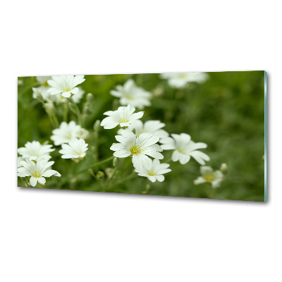 Panel para cocina flores de primavera