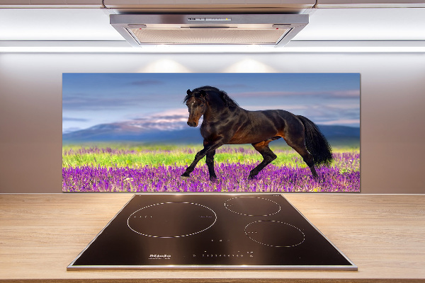 Salpicadero de cocina Un caballo en un campo de lavanda.