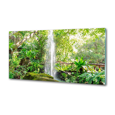 Panel de pared de cocina Cascada