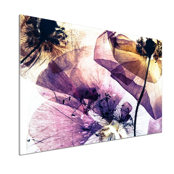 Panel antisalpicaduras Amapolas secas