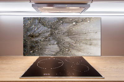 Salpicadero para cocina semillas de diente de león