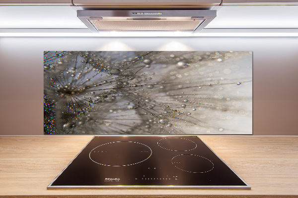 Salpicadero para cocina semillas de diente de león