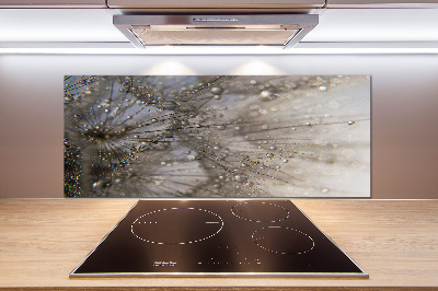 Salpicadero para cocina semillas de diente de león