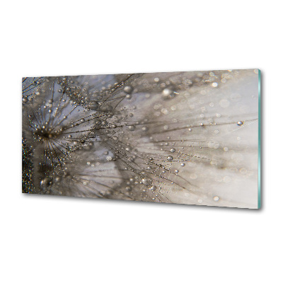 Salpicadero para cocina semillas de diente de león