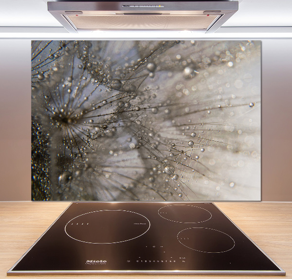 Salpicadero para cocina semillas de diente de león