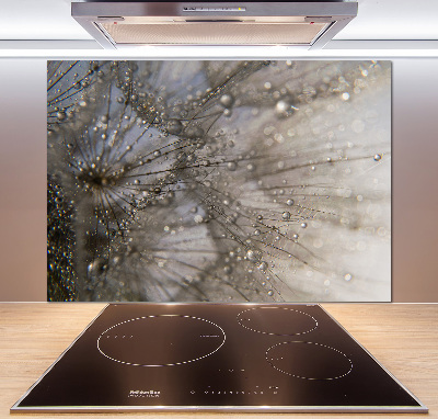 Salpicadero para cocina semillas de diente de león