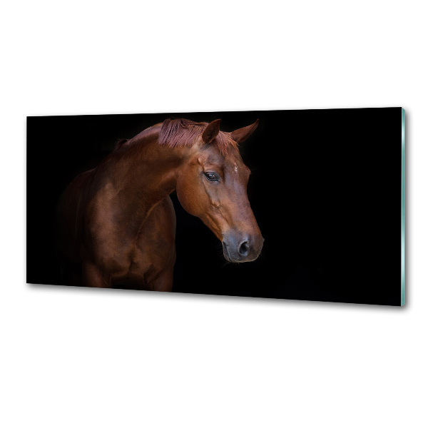 Salpicadero para cocina Caballo marrón