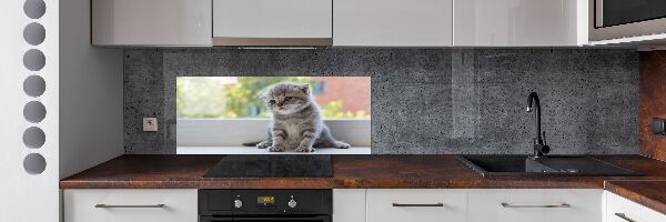 Panel de pared de cocina Un pequeño gato junto a la ventana.