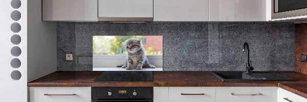 Panel de pared de cocina Un pequeño gato junto a la ventana.
