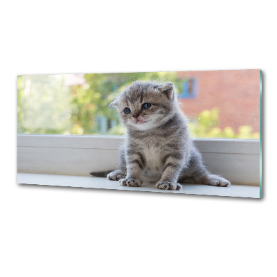 Panel de pared de cocina Un pequeño gato junto a la ventana.