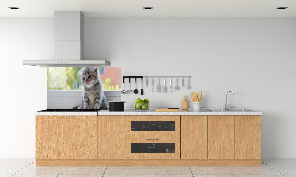 Panel de pared de cocina Un pequeño gato junto a la ventana.