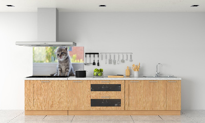 Panel de pared de cocina Un pequeño gato junto a la ventana.