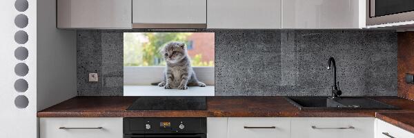 Panel de pared de cocina Un pequeño gato junto a la ventana.