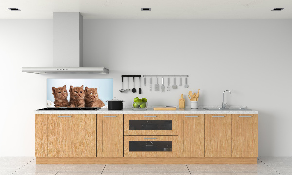 Panel do kuchni Kotki na ręczniku