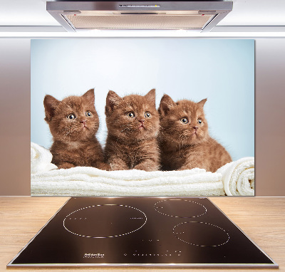 Panel antisalpicaduras Gatitos en una toalla