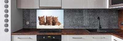 Panel antisalpicaduras Gatitos en una toalla