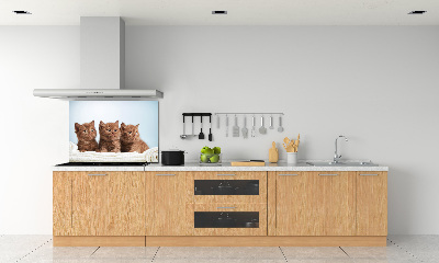 Panel antisalpicaduras Gatitos en una toalla