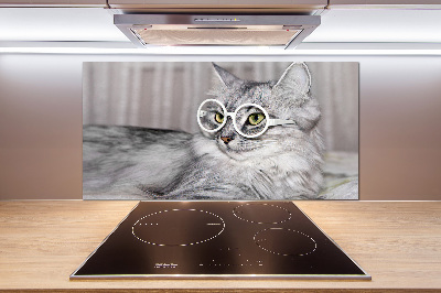 Panel para cocina Gato con gafas