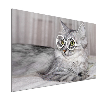 Panel para cocina Gato con gafas