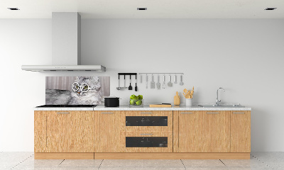 Panel para cocina Gato con gafas