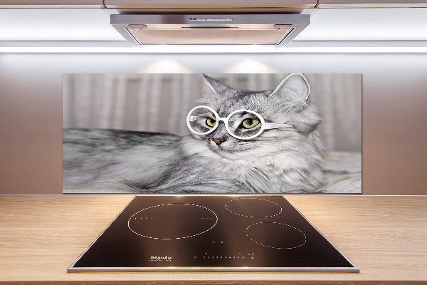 Panel para cocina Gato con gafas