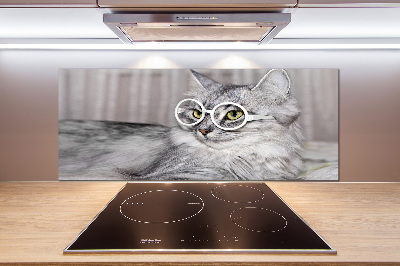 Panel para cocina Gato con gafas