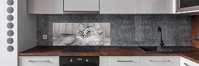Panel para cocina Gato con gafas