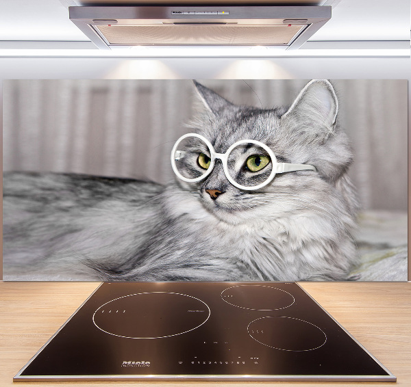 Panel para cocina Gato con gafas