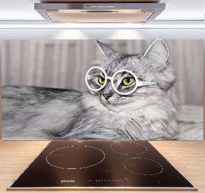 Panel para cocina Gato con gafas