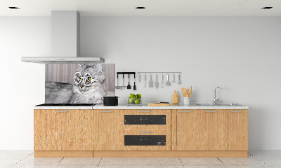 Panel para cocina Gato con gafas