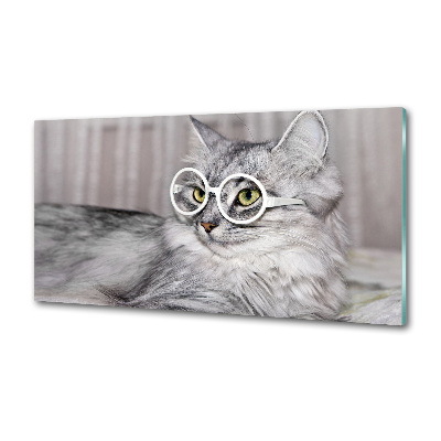 Panel para cocina Gato con gafas