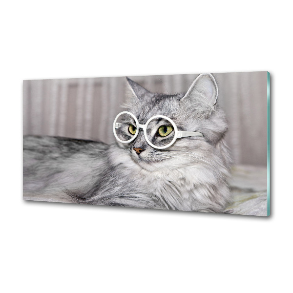 Panel para cocina Gato con gafas