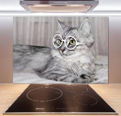 Panel para cocina Gato con gafas