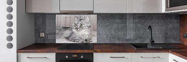 Panel para cocina Gato con gafas