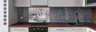 Panel para cocina Gato con gafas