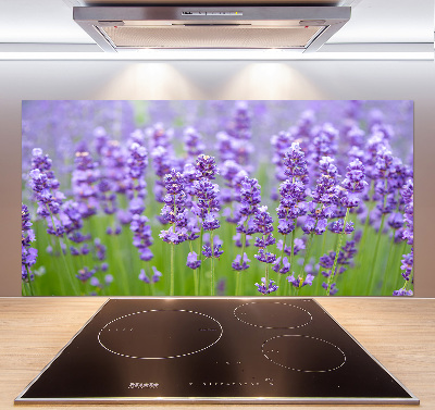 Panel de pared de cocina Lavanda