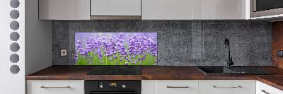 Panel de pared de cocina Lavanda