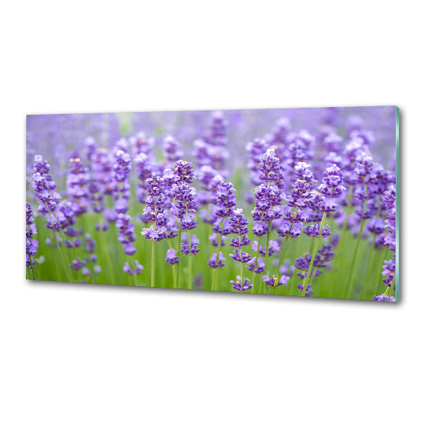 Panel de pared de cocina Lavanda