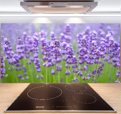 Panel de pared de cocina Lavanda