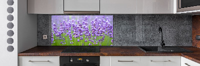 Panel de pared de cocina Lavanda