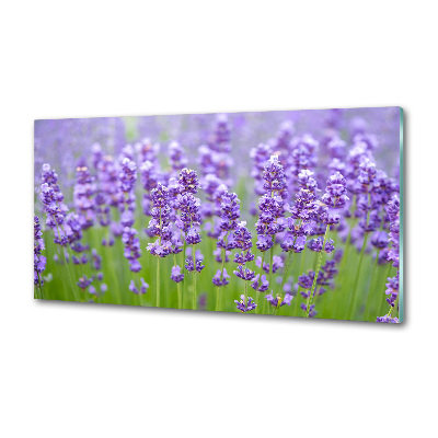 Panel de pared de cocina Lavanda
