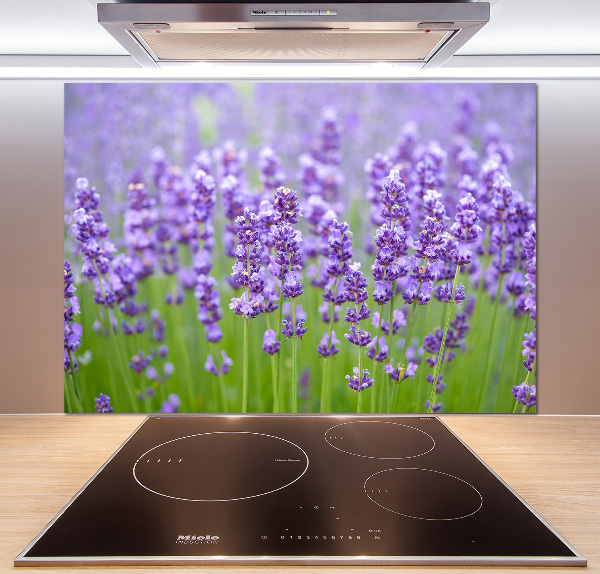 Panel de pared de cocina Lavanda