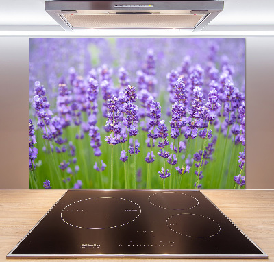 Panel de pared de cocina Lavanda