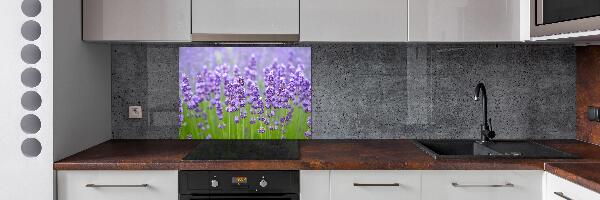 Panel de pared de cocina Lavanda