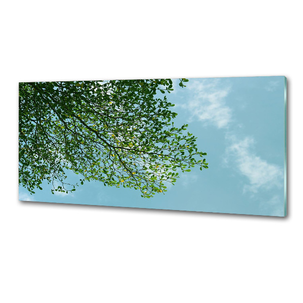 Panel para cocina Hojas en el cielo