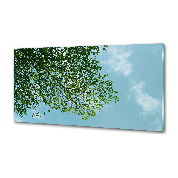 Panel para cocina Hojas en el cielo